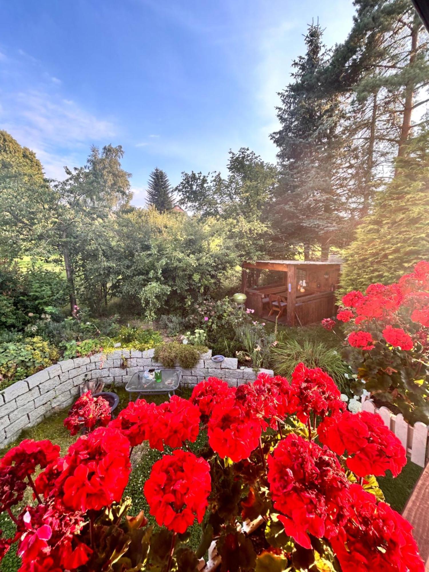 Ferienwohnung Mit Gartennutzung, Garage Und Wallbox Ebersbach-Neugersdorf 外观 照片